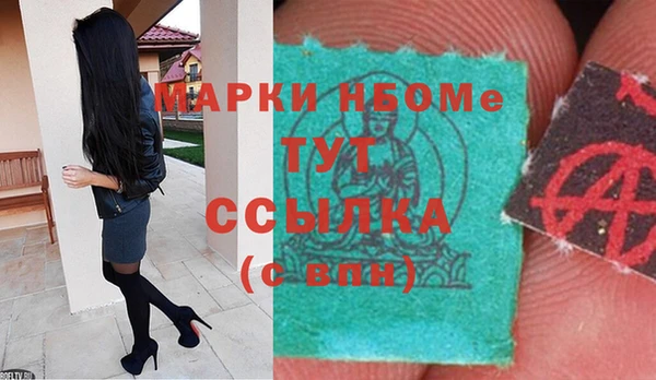 гидра Майский