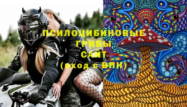 гидра Майский