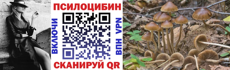 Купить закладки  Томилино  Галлюциногенные грибы Psilocybe 